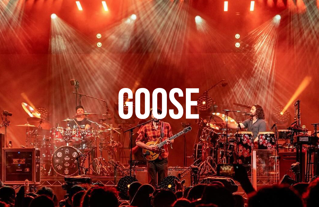 GOOSE